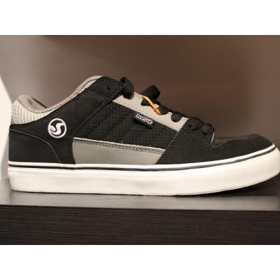 DVS