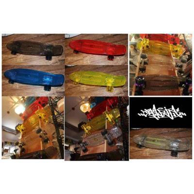 透明系列魚仔板，自由組合顏色